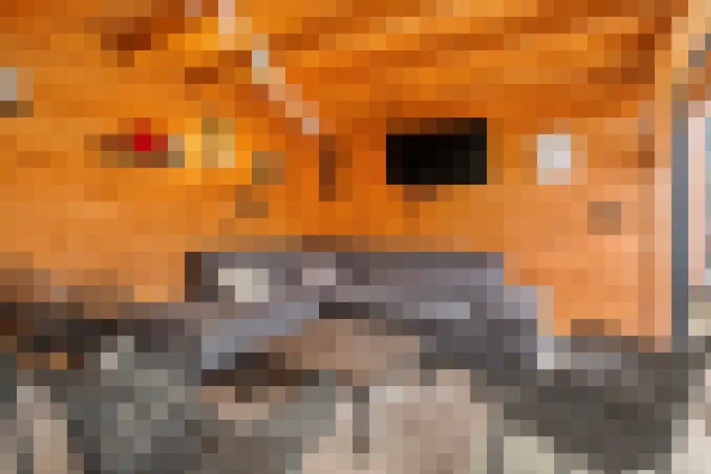 Snoekbaars 14 Nieuwleusen thumbnail 58