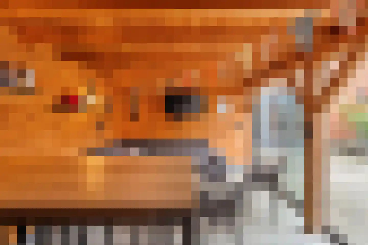 Snoekbaars 14 Nieuwleusen thumbnail 59
