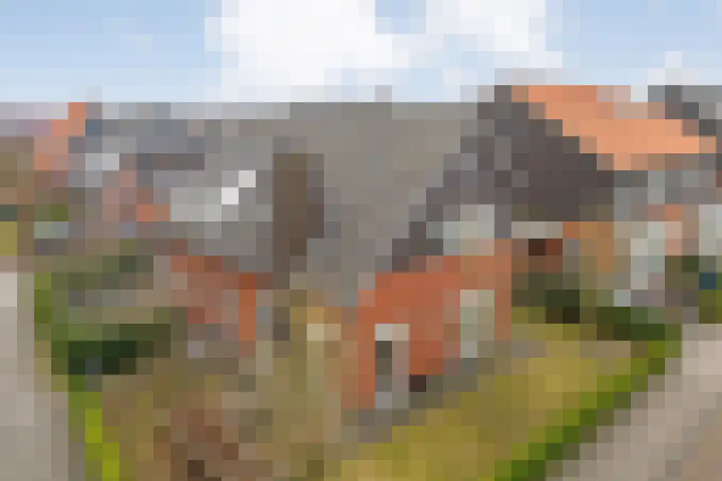 Snoekbaars 14 Nieuwleusen thumbnail 9