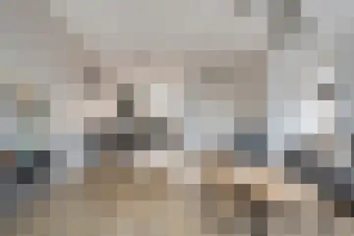 Snoekbaars 17 Nieuwleusen thumbnail 10