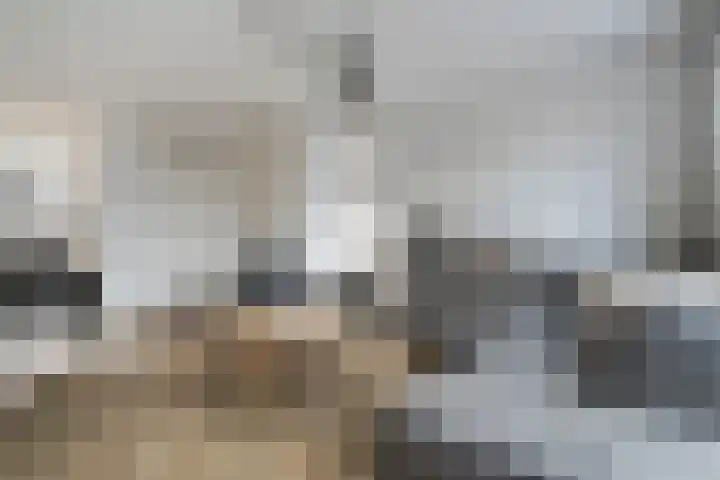 Snoekbaars 17 Nieuwleusen thumbnail 11