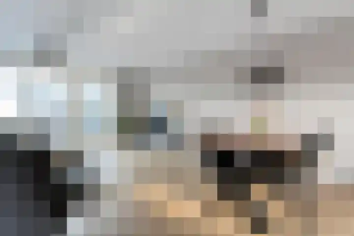 Snoekbaars 17 Nieuwleusen thumbnail 13