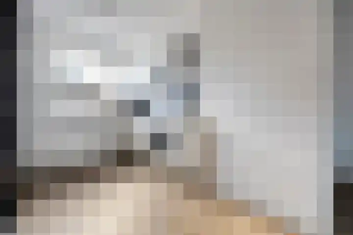 Snoekbaars 17 Nieuwleusen thumbnail 17