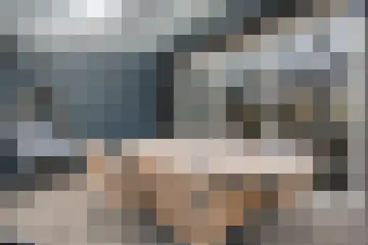 Snoekbaars 17 Nieuwleusen thumbnail 20