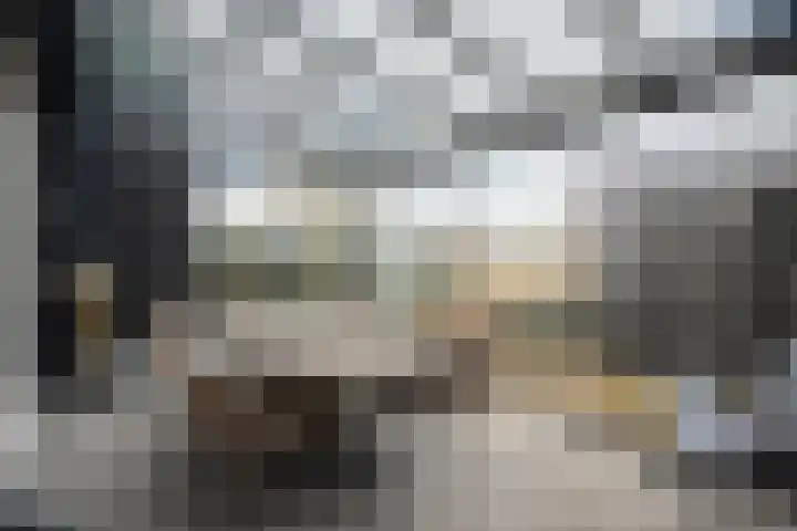 Snoekbaars 17 Nieuwleusen thumbnail 21