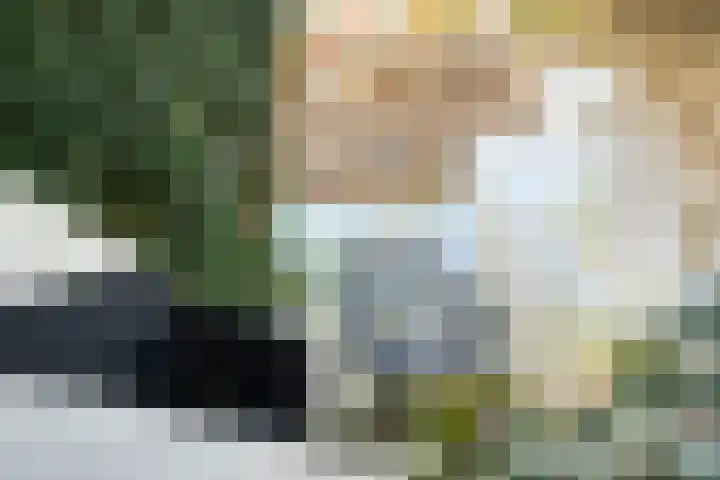 Snoekbaars 17 Nieuwleusen thumbnail 22