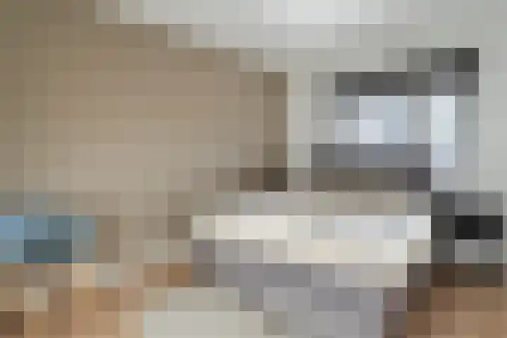 Snoekbaars 17 Nieuwleusen thumbnail 28