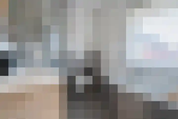 Snoekbaars 17 Nieuwleusen thumbnail 31