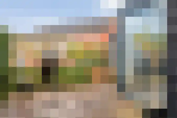 Snoekbaars 17 Nieuwleusen thumbnail 37