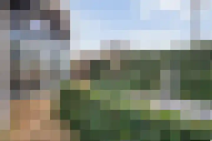 Snoekbaars 17 Nieuwleusen thumbnail 38