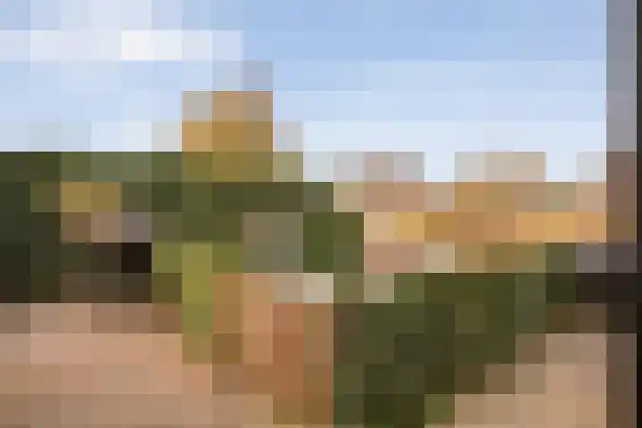 Snoekbaars 17 Nieuwleusen thumbnail 39