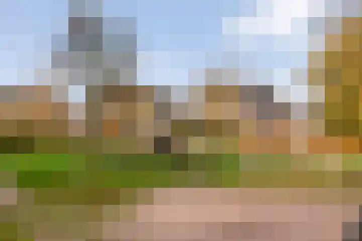 Snoekbaars 17 Nieuwleusen thumbnail 4
