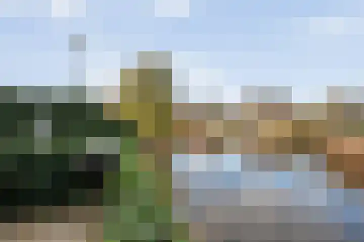 Snoekbaars 17 Nieuwleusen thumbnail 40