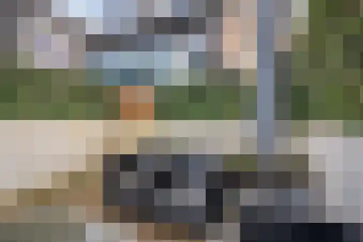 Snoekbaars 17 Nieuwleusen thumbnail 41