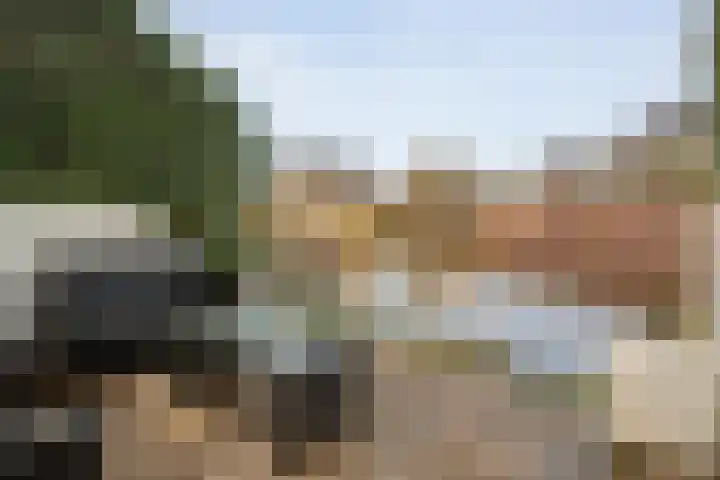 Snoekbaars 17 Nieuwleusen thumbnail 42