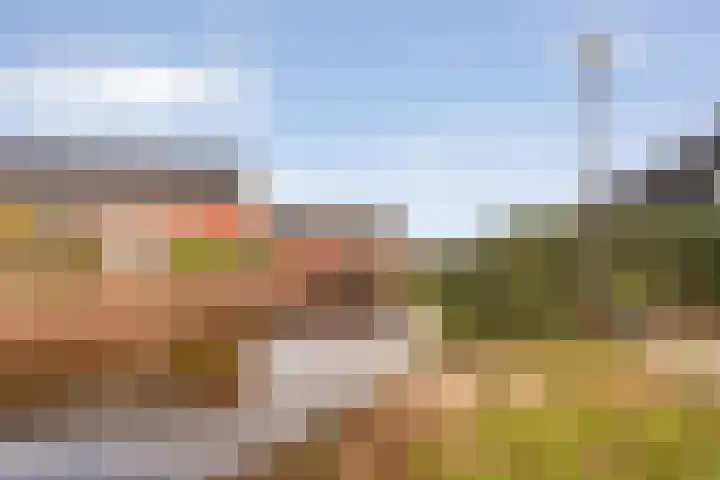 Snoekbaars 17 Nieuwleusen thumbnail 43