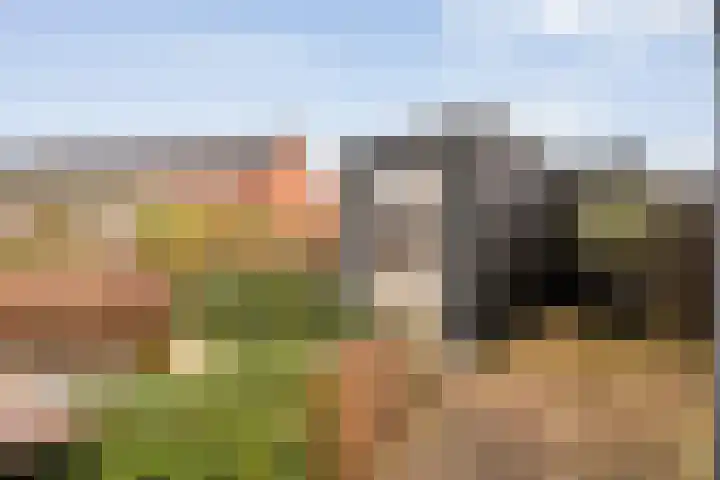 Snoekbaars 17 Nieuwleusen thumbnail 44