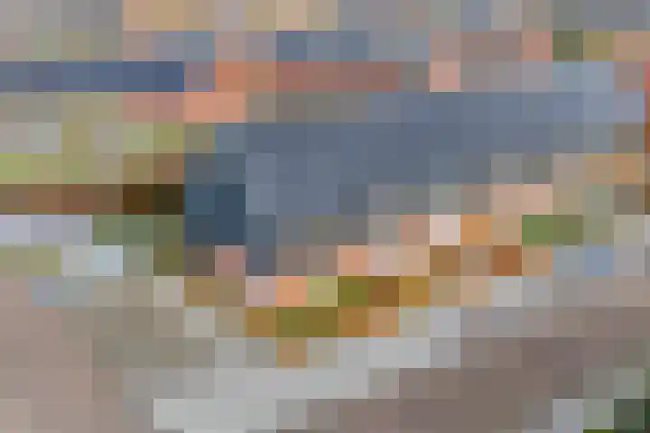 Snoekbaars 17 Nieuwleusen thumbnail 48