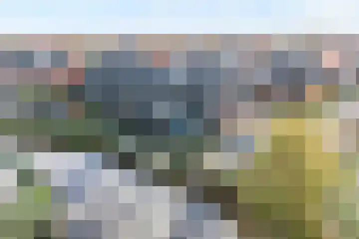 Snoekbaars 17 Nieuwleusen thumbnail 49