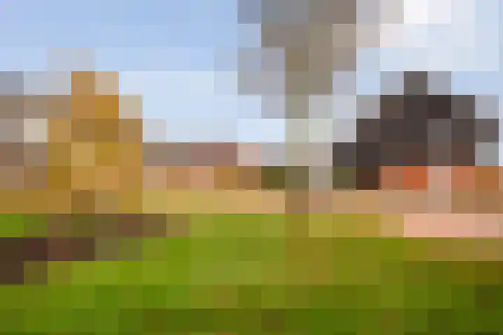 Snoekbaars 17 Nieuwleusen thumbnail 5