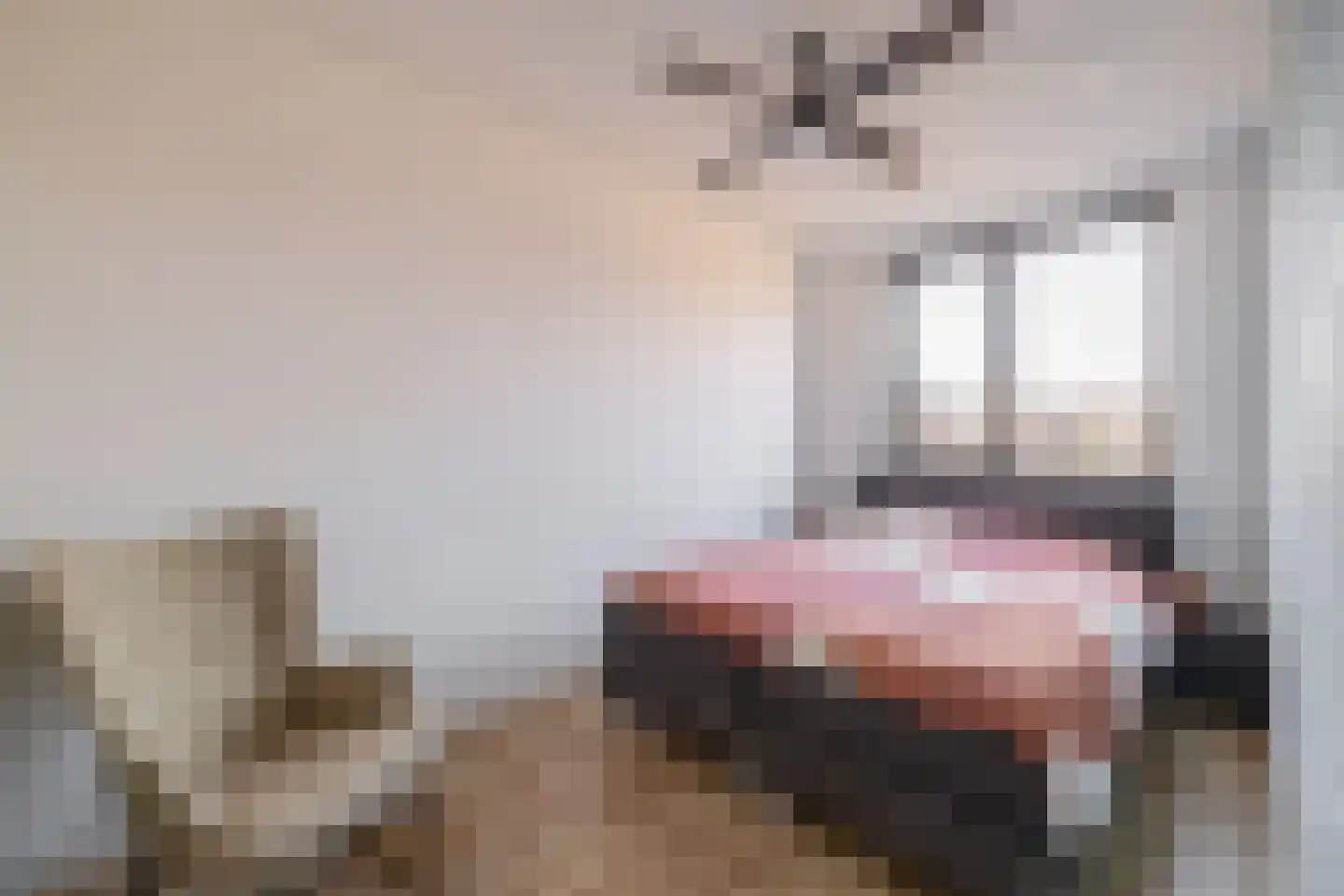 Snoekbaars 23 Waddinxveen thumbnail 15