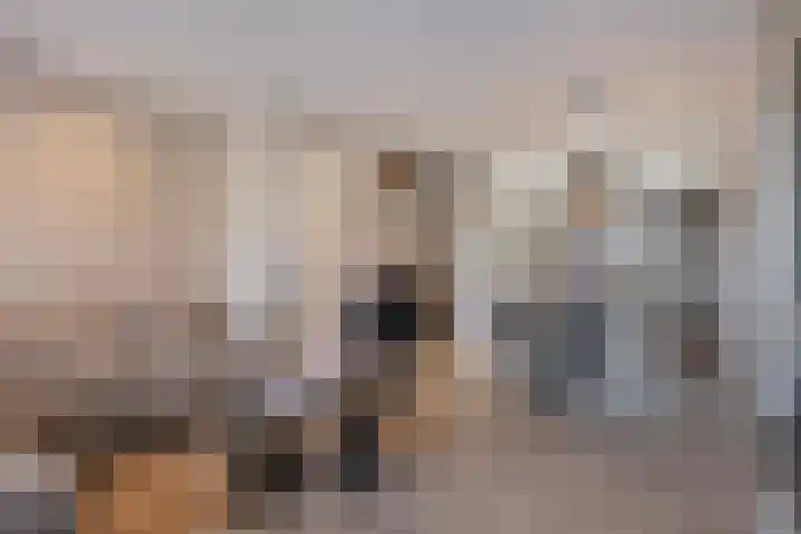 Snoekbaars 27 in Waddinxveen