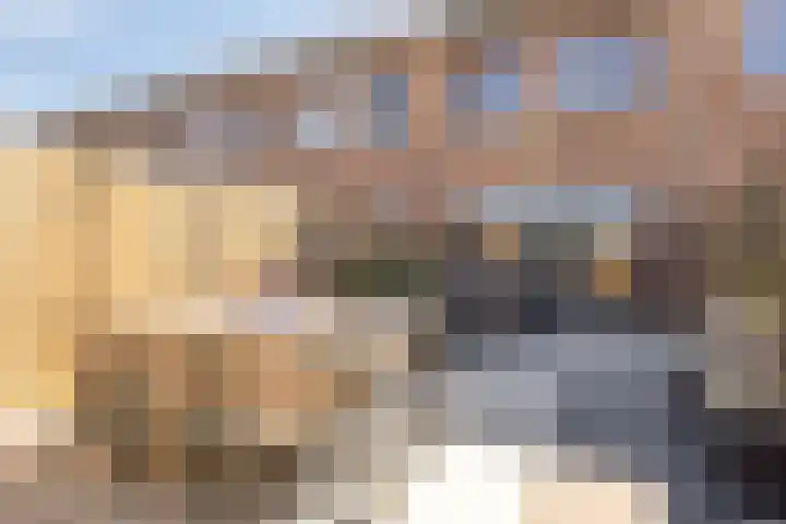 Snoekbaars 27 Waddinxveen thumbnail 19