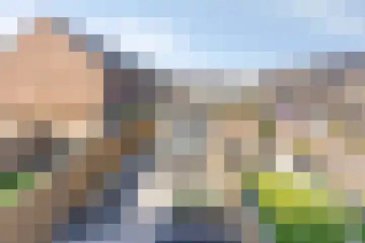 Snoekbaars 27 Waddinxveen thumbnail 21
