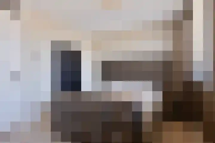 Snoekbaars 27 Waddinxveen thumbnail 25