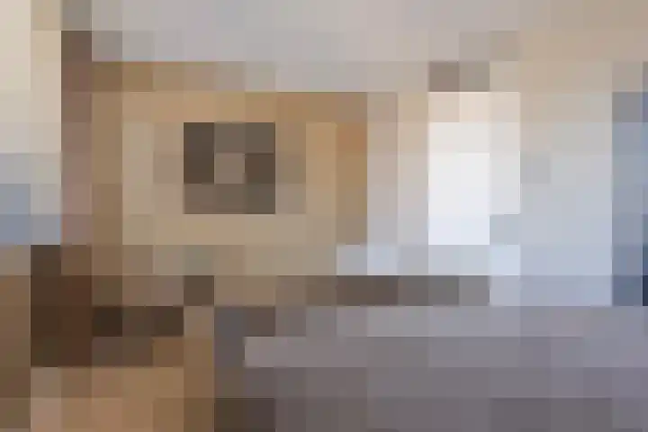 Snoekbaars 27 Waddinxveen thumbnail 27