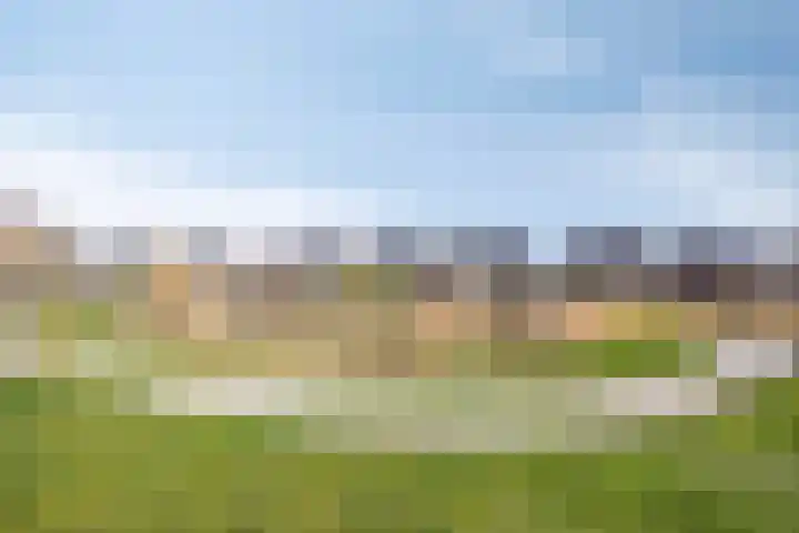Snoekbaars 27 Waddinxveen thumbnail 39