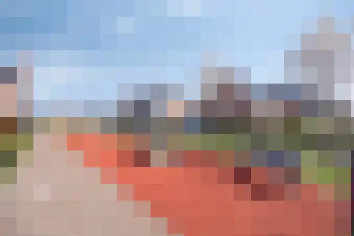 Snoekbaars 27 Waddinxveen thumbnail 40