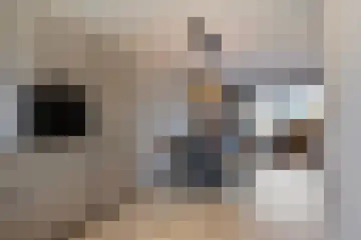 Snoekbaars 27 Waddinxveen thumbnail 9