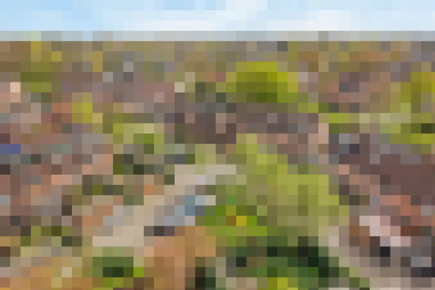 Snoekbaars 3 Leusden thumbnail 29