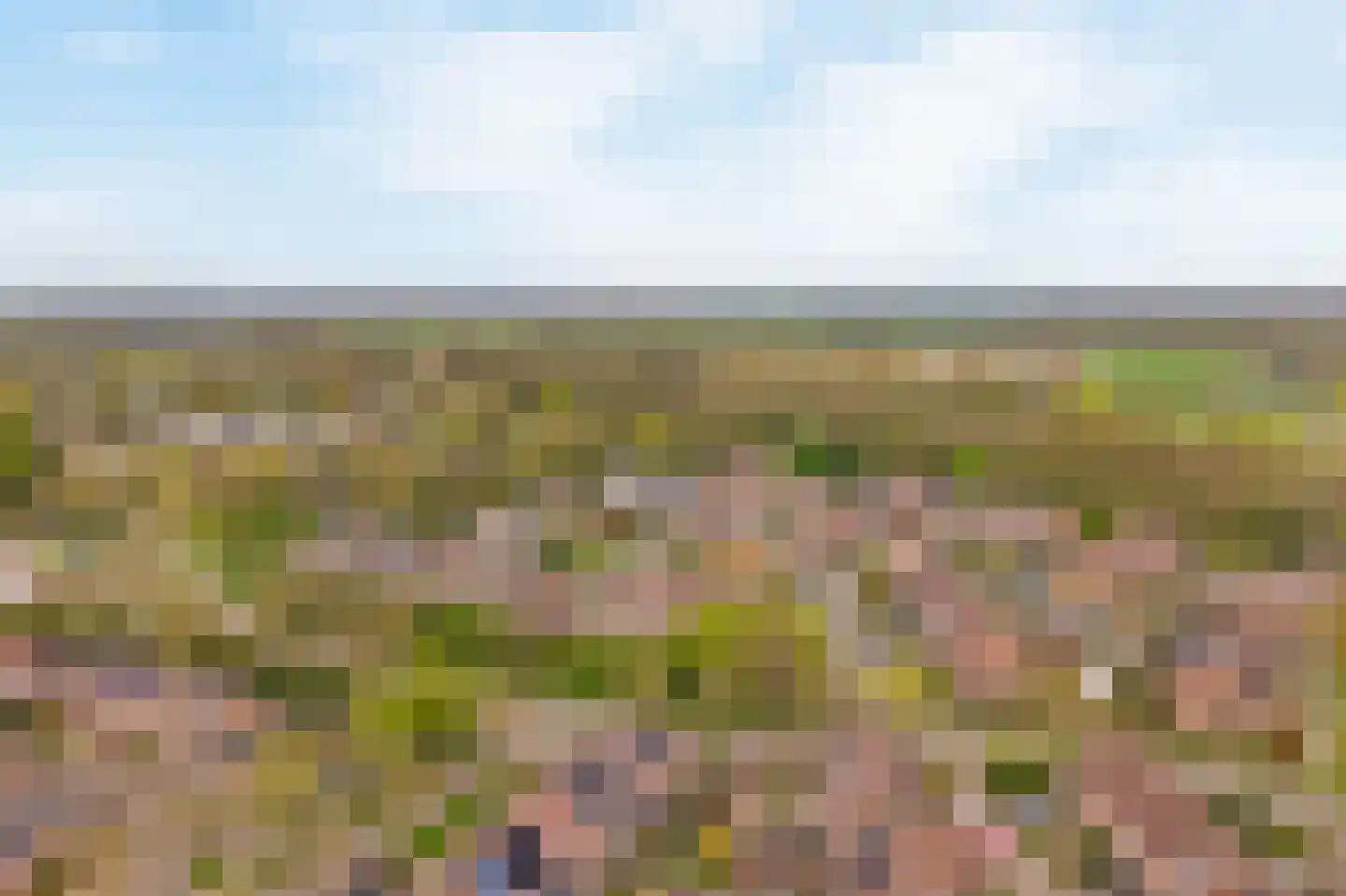 Snoekbaars 3 Leusden thumbnail 30