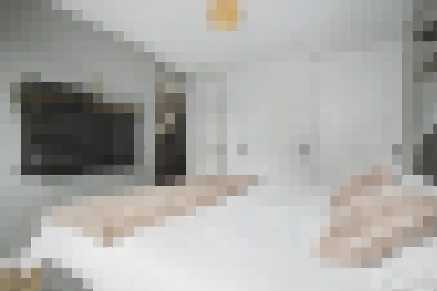 Snoekbaars 31 Veenendaal thumbnail 26