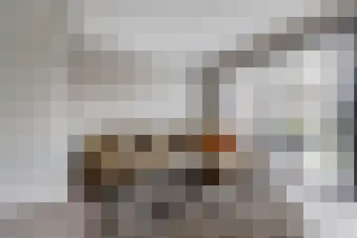 Snoekbaars 39 Waddinxveen thumbnail 10