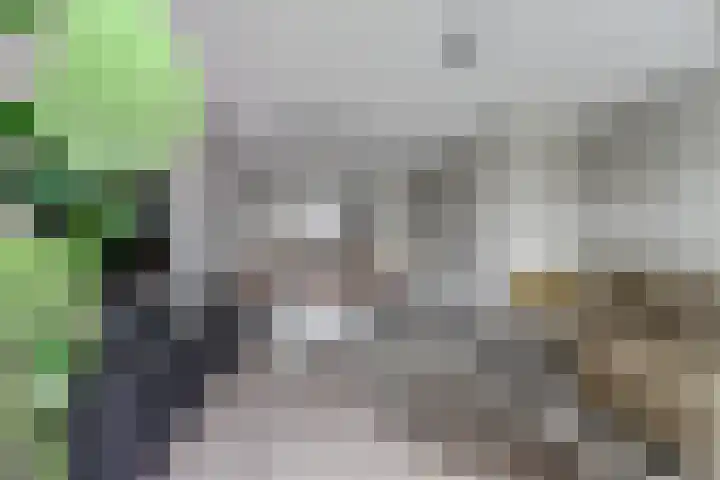 Snoekbaars 39 Waddinxveen thumbnail 12