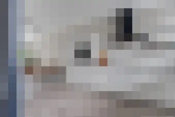 Snoekbaars 39 Waddinxveen thumbnail 18