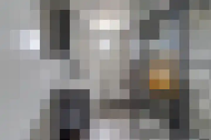 Snoekbaars 39 Waddinxveen thumbnail 4