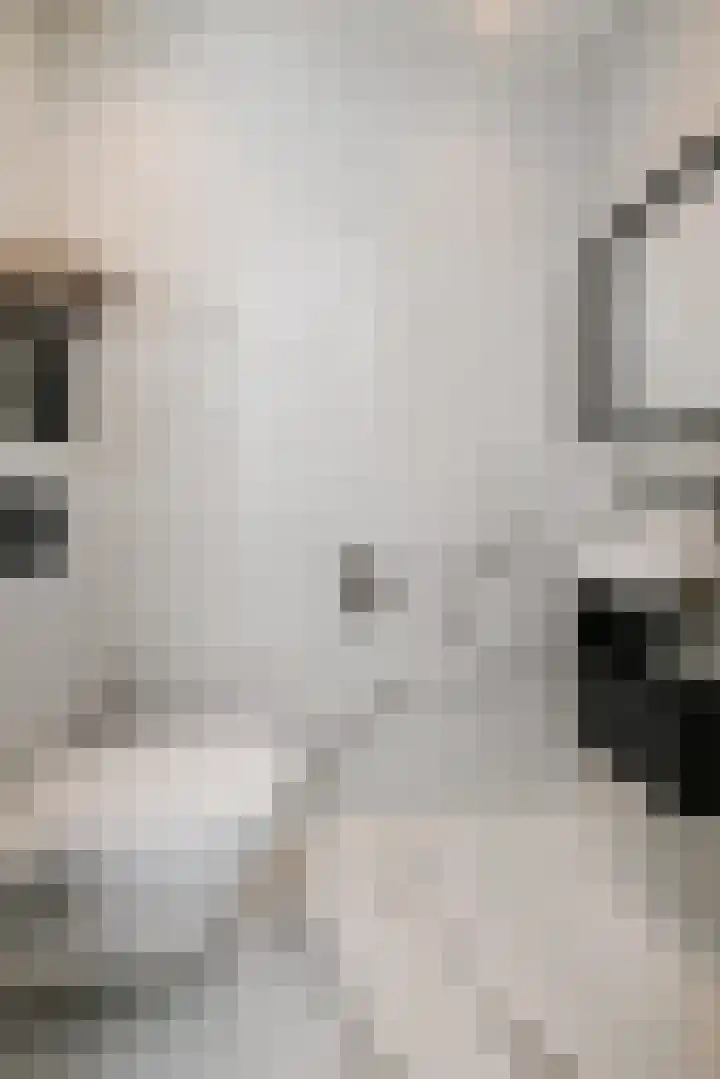 Snoekbaars 4 Waddinxveen thumbnail 10