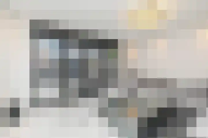 Snoekbaars 4 Waddinxveen thumbnail 13