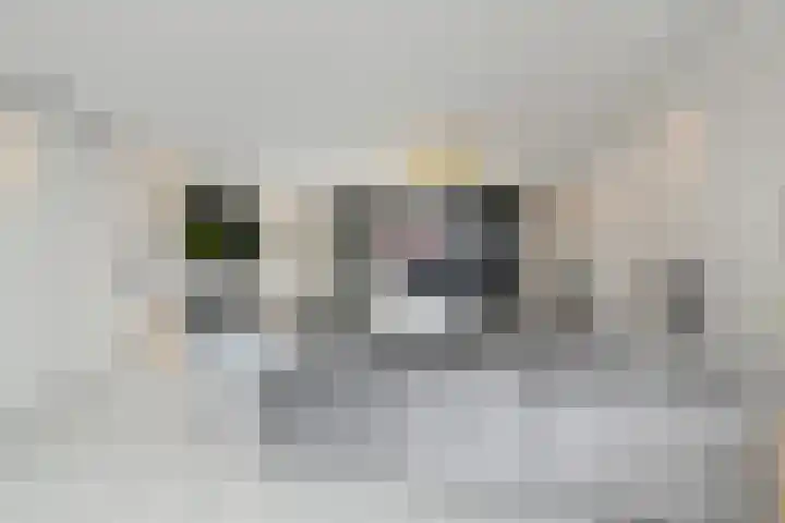 Snoekbaars 4 Waddinxveen thumbnail 15