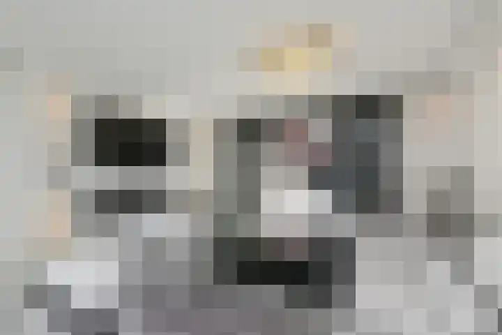 Snoekbaars 4 Waddinxveen thumbnail 17