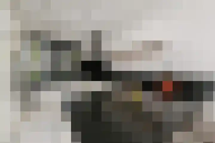 Snoekbaars 4 Waddinxveen thumbnail 21