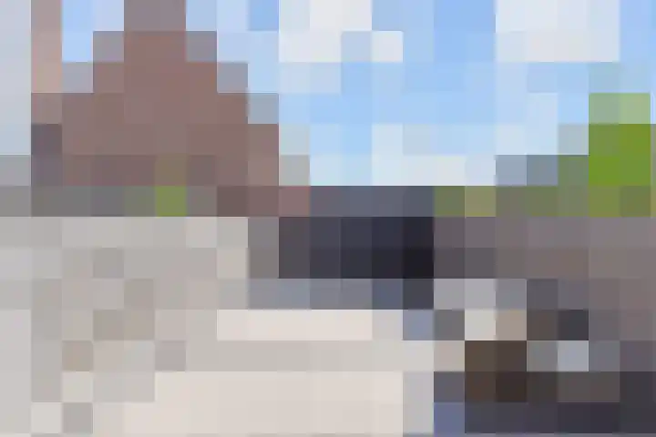 Snoekbaars 4 Waddinxveen thumbnail 28