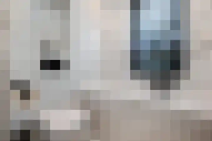 Snoekbaars 4 Waddinxveen thumbnail 40