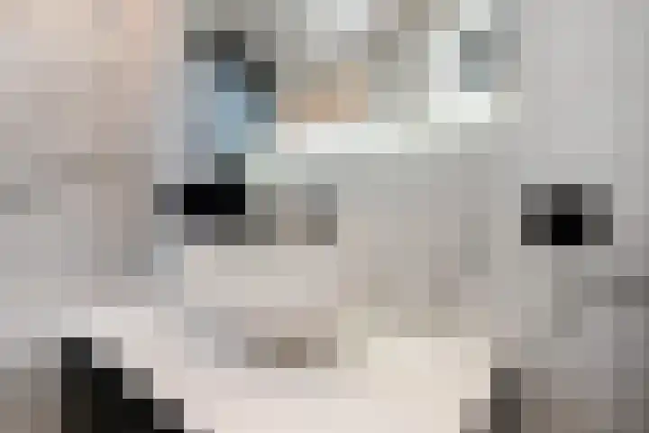 Snoekbaars 4 Waddinxveen thumbnail 41