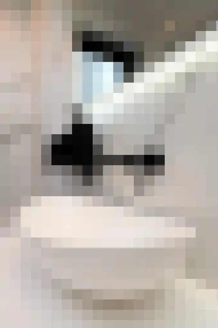 Snoekbaars 4 Waddinxveen thumbnail 42