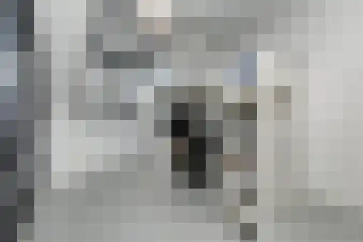 Snoekbaars 4 Waddinxveen thumbnail 48